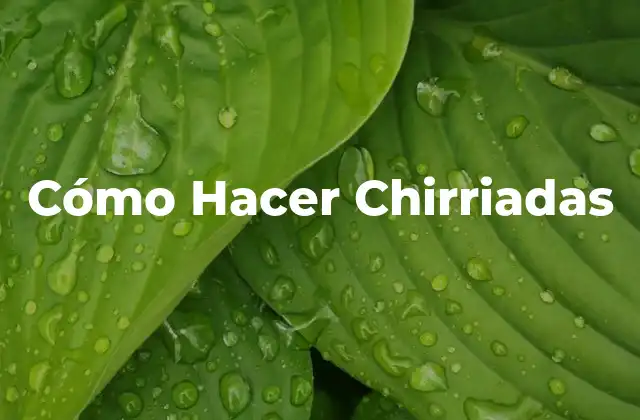 Cómo Hacer Chirriadas