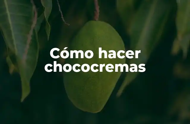 Cómo Hacer Chococremas 2 Chococremas: ¿Qué son y para qué sirven?