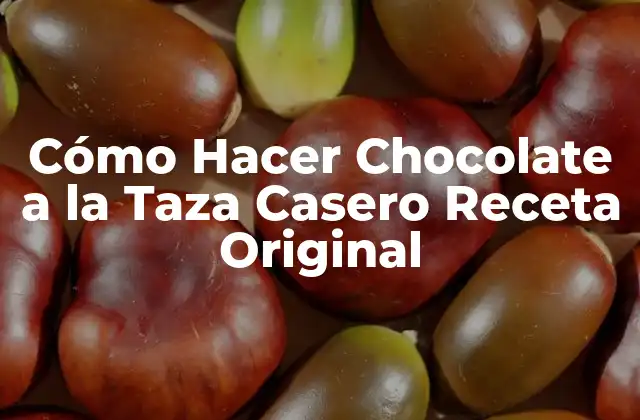 Cómo Hacer Chocolate a la Taza Casero Receta Original