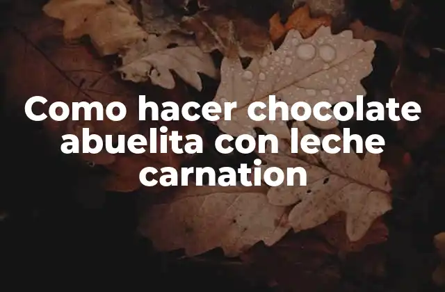 Como Hacer Chocolate Abuelita con Leche Carnation