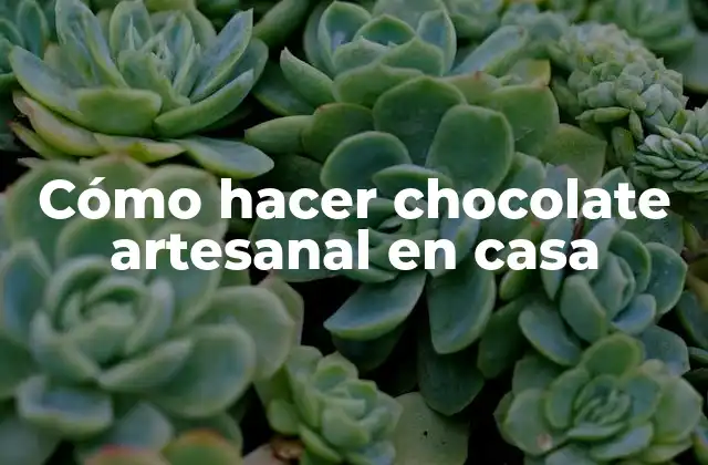 Cómo Hacer Chocolate Artesanal en Casa