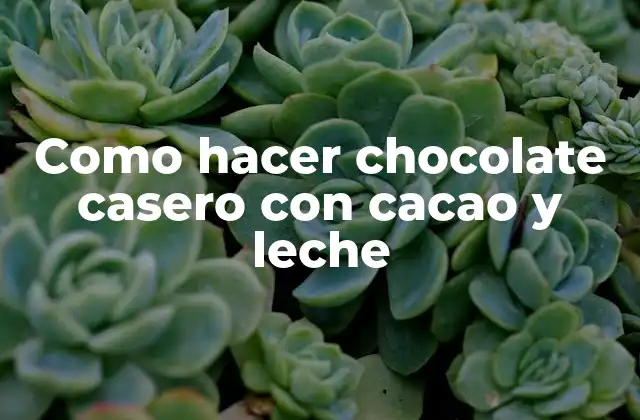 Como Hacer Chocolate Casero con Cacao y Leche