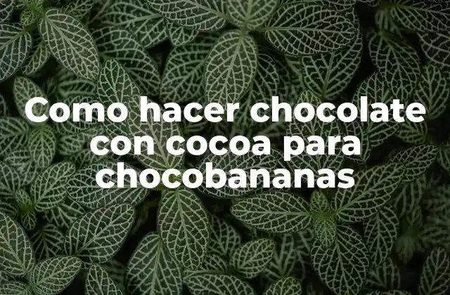 Como Hacer Chocolate con Cocoa para Chocobananas