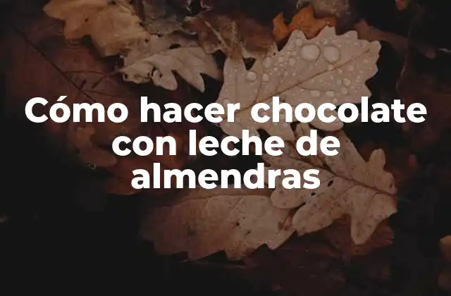 Cómo Hacer Chocolate con Leche de Almendras