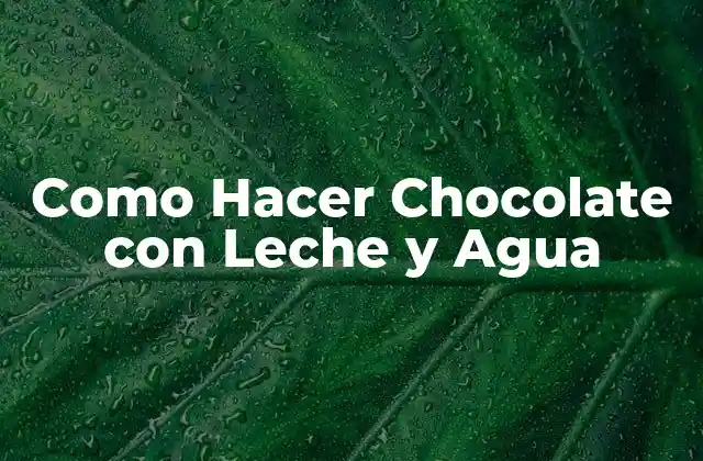 Como Hacer Chocolate con Leche y Agua