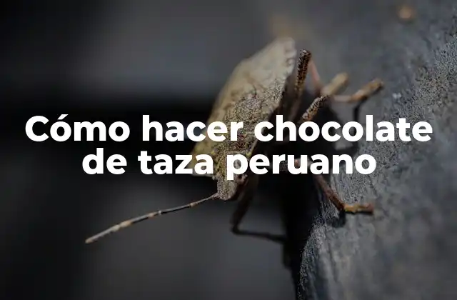 Cómo Hacer Chocolate de Taza Peruano