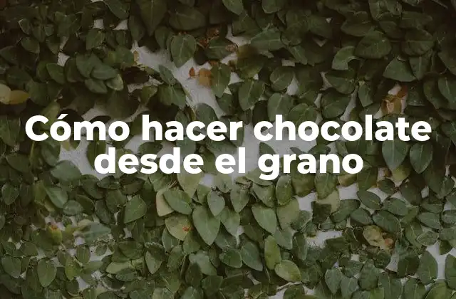 Cómo Hacer Chocolate desde el Grano