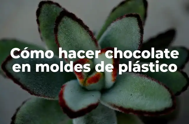 Cómo Hacer Chocolate en Moldes de Plástico