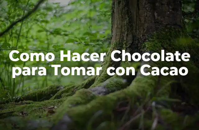 Como Hacer Chocolate para Tomar con Cacao 2 ¿Qué es el Chocolate para Tomar con Cacao y para Qué Sirve?
