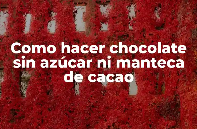 Como Hacer Chocolate sin Azúcar ni Manteca de Cacao