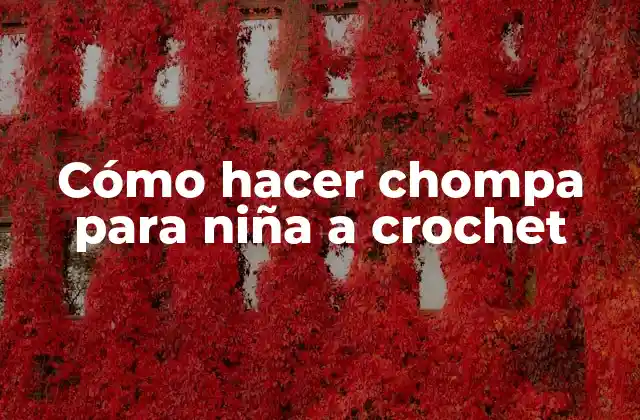 Cómo Hacer Chompa para Niña a Crochet
