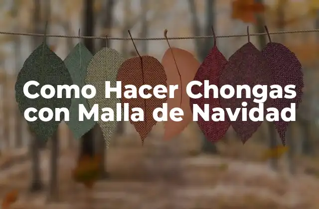 Como Hacer Chongas con Malla de Navidad