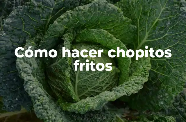 ¿Qué son los chopitos fritos?