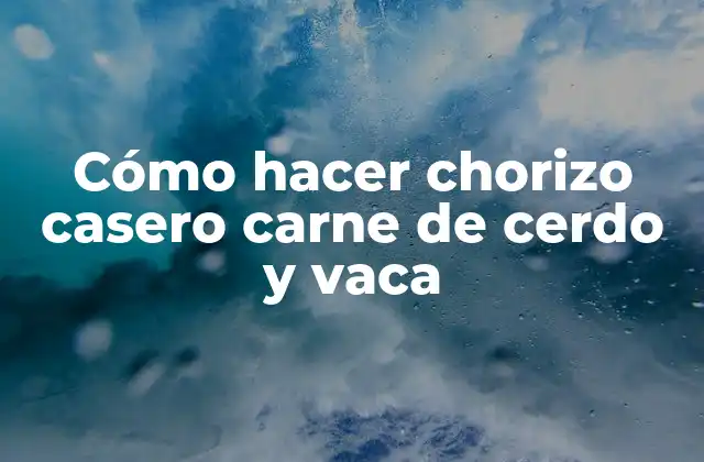 Cómo Hacer Chorizo Casero Carne de Cerdo y Vaca