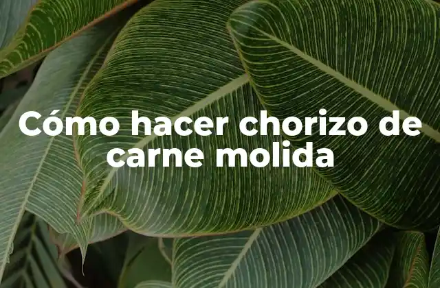 Cómo Hacer Chorizo de Carne Molida