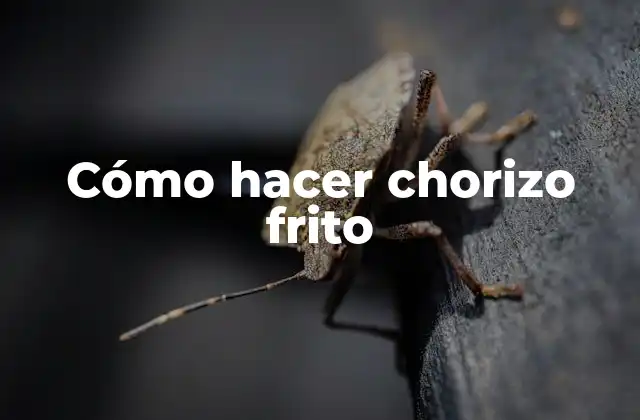 Cómo Hacer Chorizo Frito