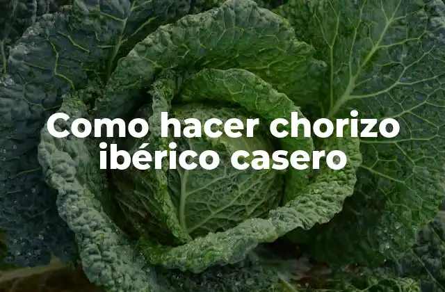 Como Hacer Chorizo Ibérico Casero