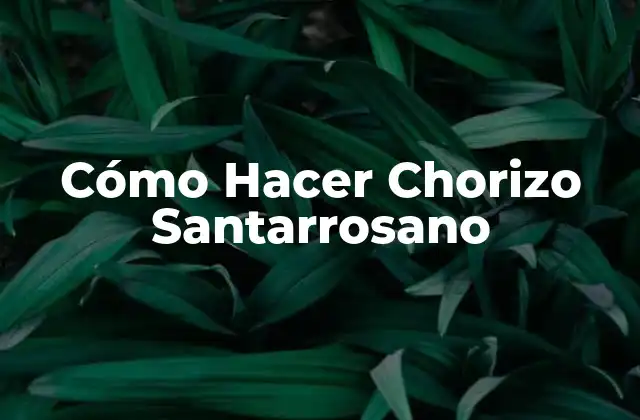 Cómo Hacer Chorizo Santarrosano