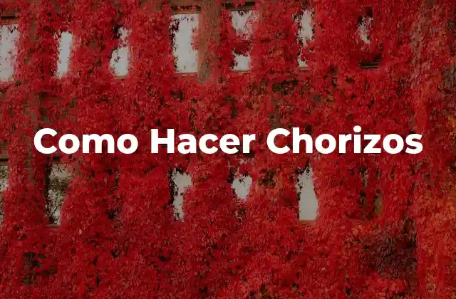Como Hacer Chorizos