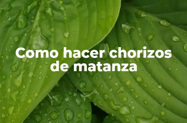 Como Hacer Chorizos de Matanza