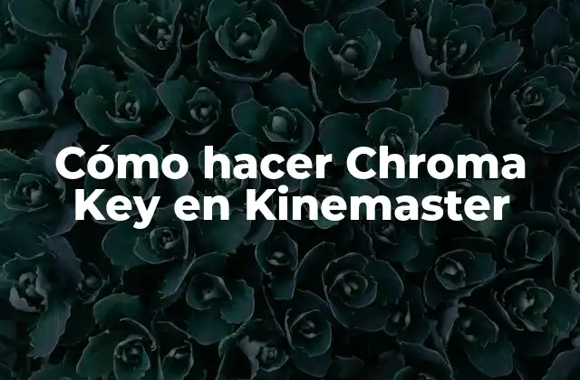Cómo Hacer Chroma Key en Kinemaster