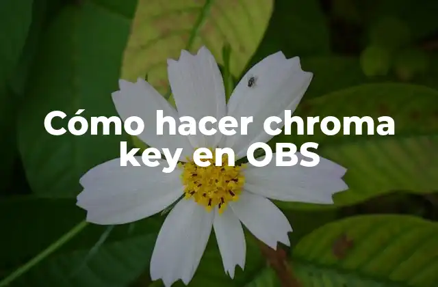 Cómo Hacer Chroma Key en Obs