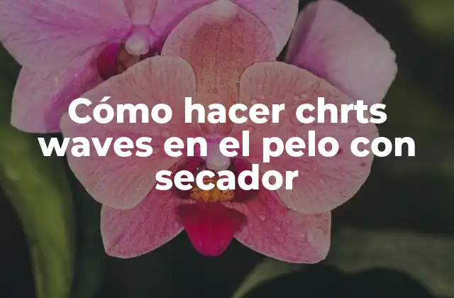 Cómo Hacer Chrts Waves en el Pelo con Secador