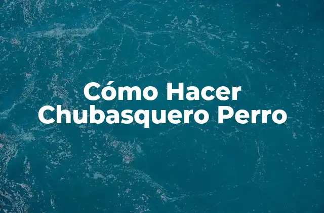 ¿Qué es un Chubasquero para Perros?