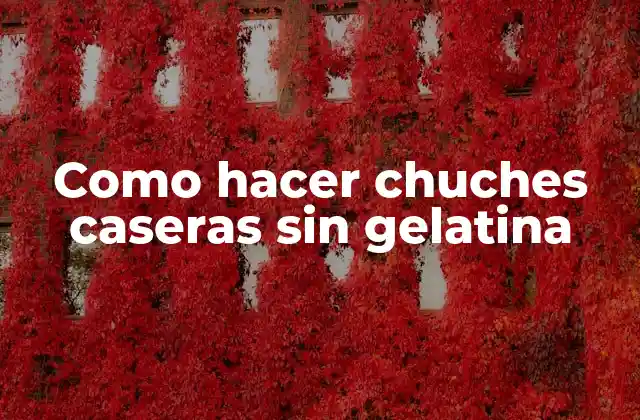 Como Hacer Chuches Caseras sin Gelatina