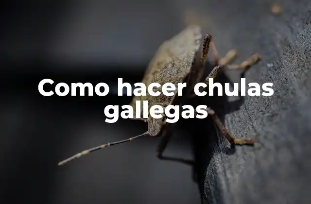 Como Hacer Chulas Gallegas 2 ¿Qué son las chulas gallegas?