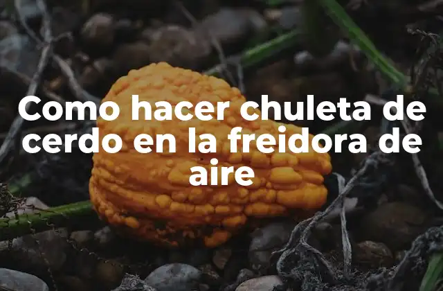 Como Hacer Chuleta de Cerdo en la Freidora de Aire