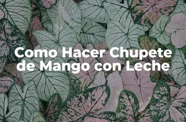 Como Hacer Chupete de Mango con Leche