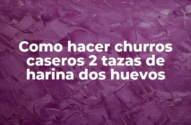 Como Hacer Churros Caseros 2 Tazas de Harina Dos Huevos