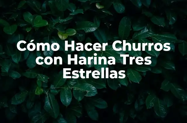 ¿Qué son los Churros con Harina Tres Estrellas?