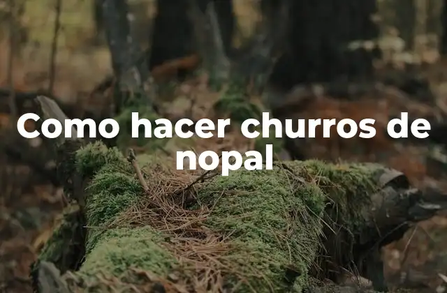 Como Hacer Churros de Nopal