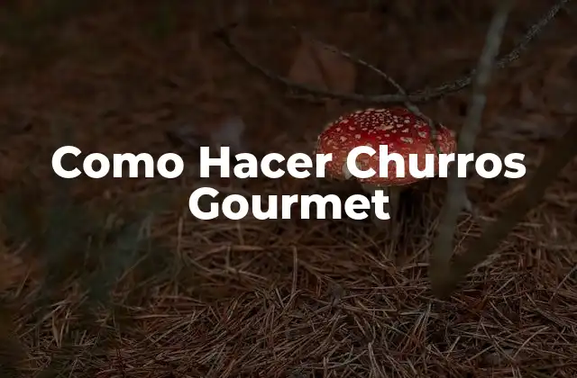 ¿Qué son los Churros Gourmet?