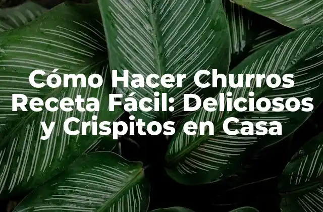 Cómo Hacer Churros Receta Fácil: Deliciosos y Crispitos en Casa