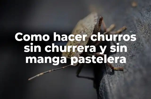 Como hacer churros sin churrera y sin manga pastelera
