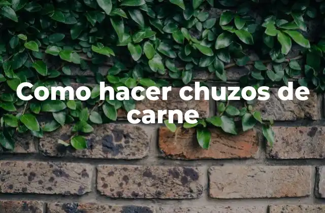 Como Hacer Chuzos de Carne