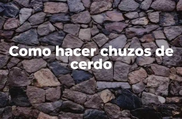 Como Hacer Chuzos de Cerdo