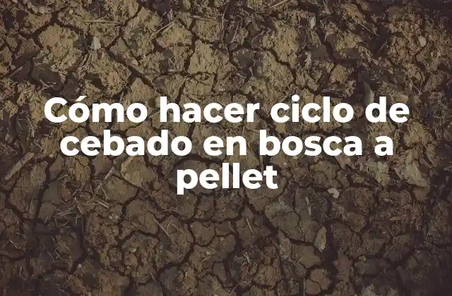 Cómo Hacer Ciclo de Cebado en Bosca a Pellet