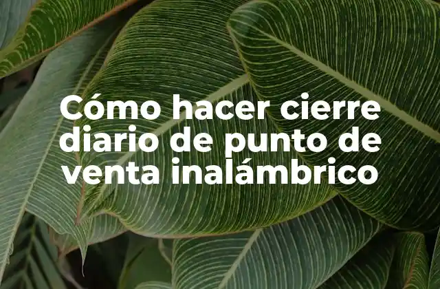 Cómo Hacer Cierre Diario de Punto de Venta Inalámbrico