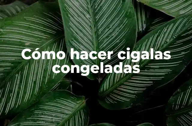 Cómo Hacer Cigalas Congeladas 2 Cómo hacer cigalas congeladas