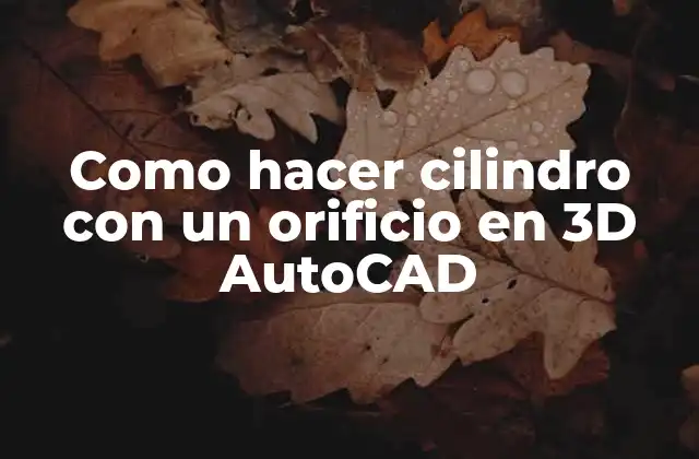 Cilindro con un orificio en 3D AutoCAD
