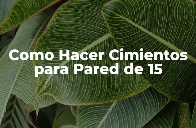 Como Hacer Cimientos para Pared de 15