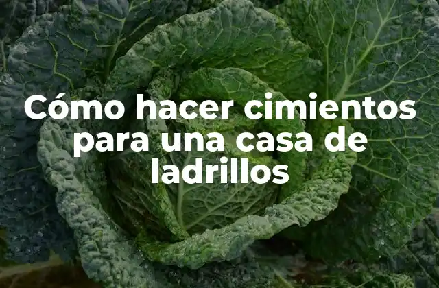 Cimientos para una casa de ladrillos