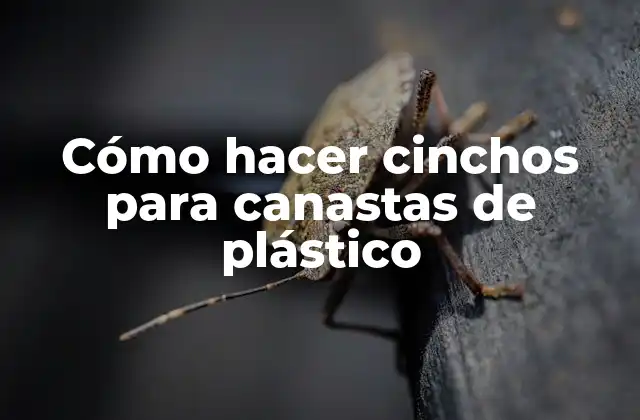 Cómo Hacer Cinchos para Canastas de Plástico 2 Cómo hacer cinchos para canastas de plástico