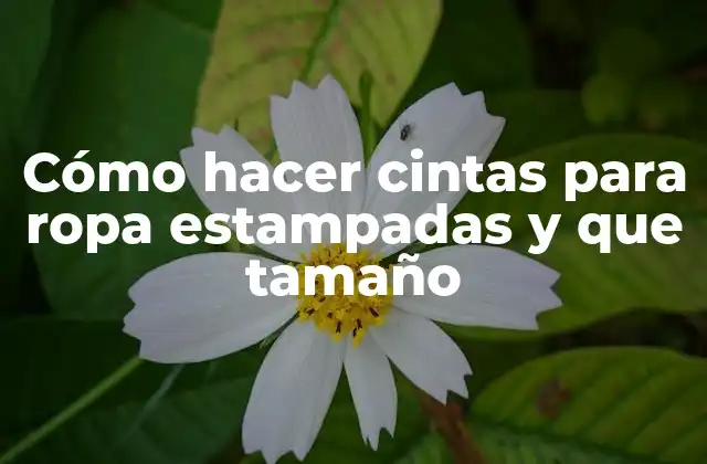 Cómo Hacer Cintas para Ropa Estampadas y que Tamaño