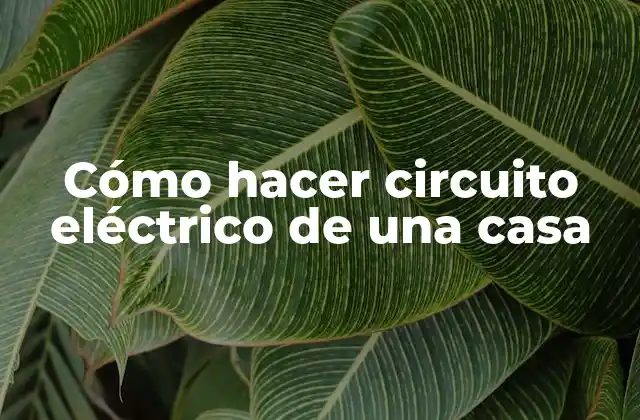 Cómo Hacer Circuito Eléctrico de una Casa