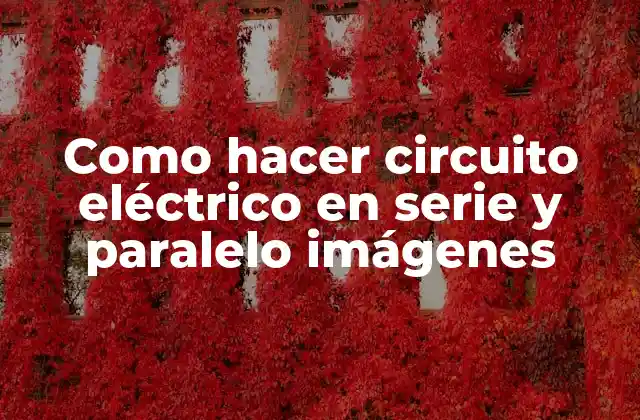 Como Hacer Circuito Eléctrico en Serie y Paralelo Imágenes